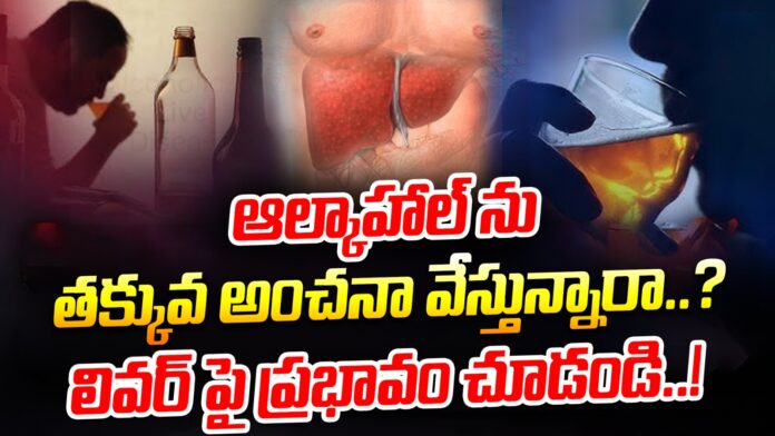alcohol-impact-on-liver-andhranews9