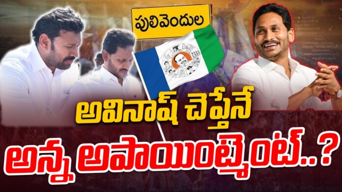 avinash-reddy-monitor-jagan-meetings-andhranews9