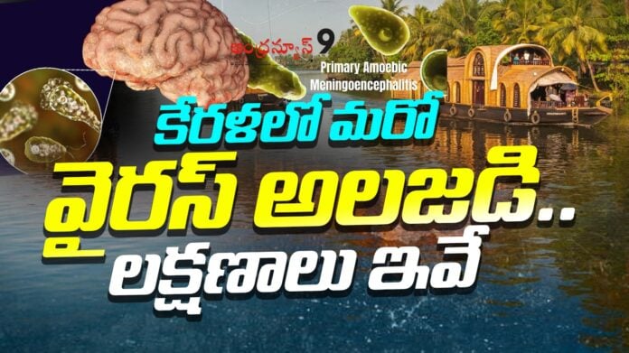 primary-amoebic-meningoencephalitis-virus-in-kerala-andhranews9