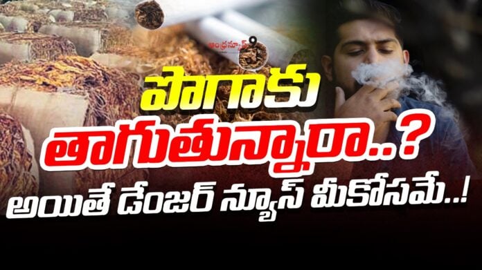 risk-of-smoking-tobacco-andhranews9