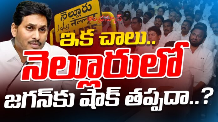 Nellore YSRCP Leaders To quit