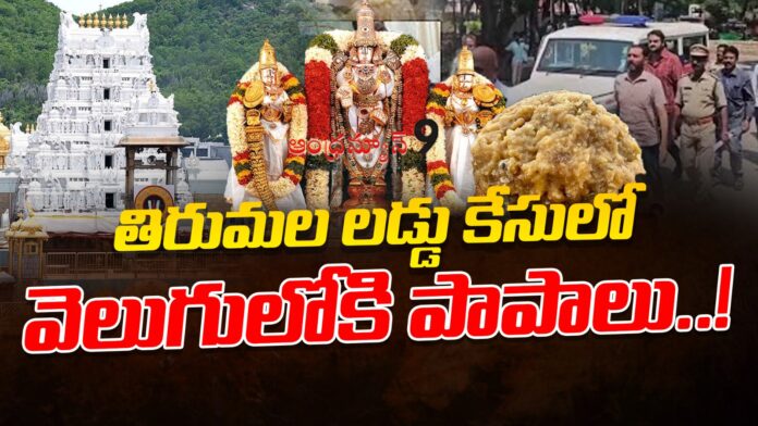 Facts In Tirumala Laddu Case