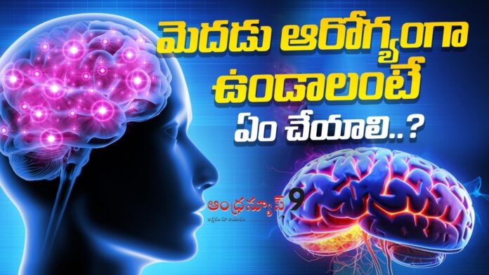 what-should-you-do-to-keep-your-brain-healthy-andhranews9