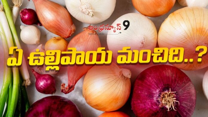 which-onion-is-better-for-health-andhranews9