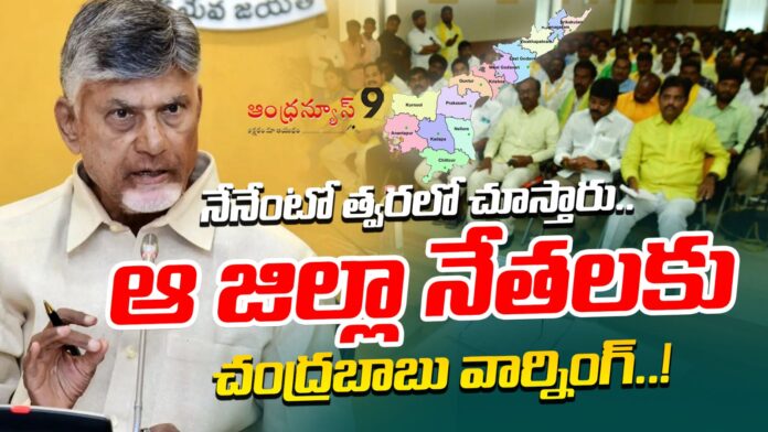 chandrababu-naidu-warning-to-krishna-tdp-leaders-andhranews9