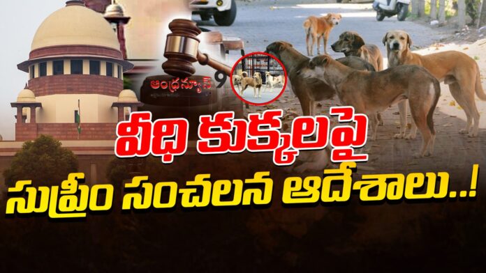 supreme-court-sensational-orders-on-stray-dogs-andhranews9