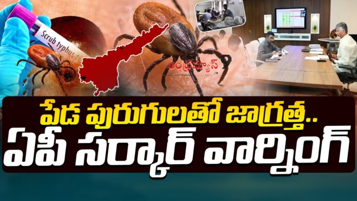 ap-govt-warns-about-scrub-typhus-virus-andhranews9