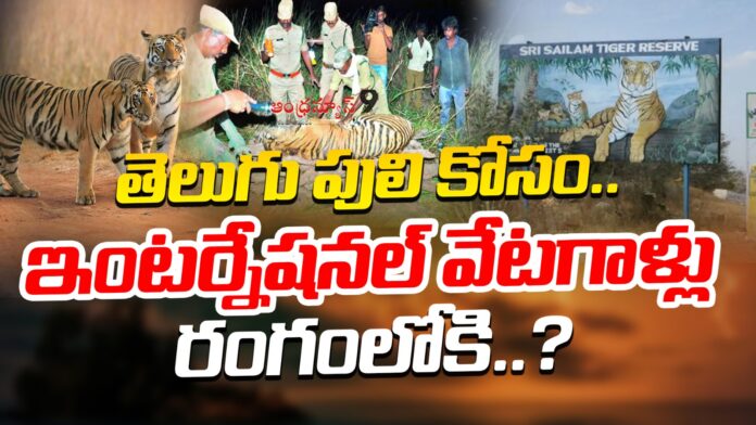 international-smugglers-in-nallamala-tiger-reserve-zone-andhranews9