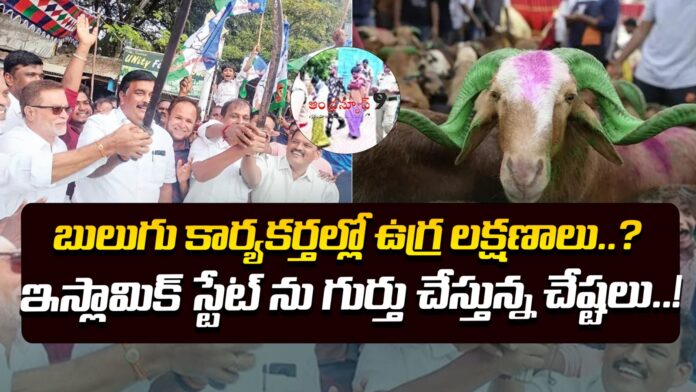 the-perverse-actions-of-ysrcp-activists-andhranews9