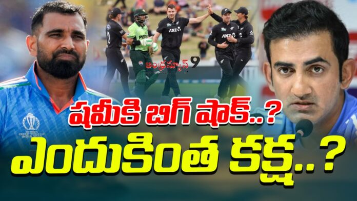 will-shami-be-sidelined-for-the-new-zealand-series-andhranews9