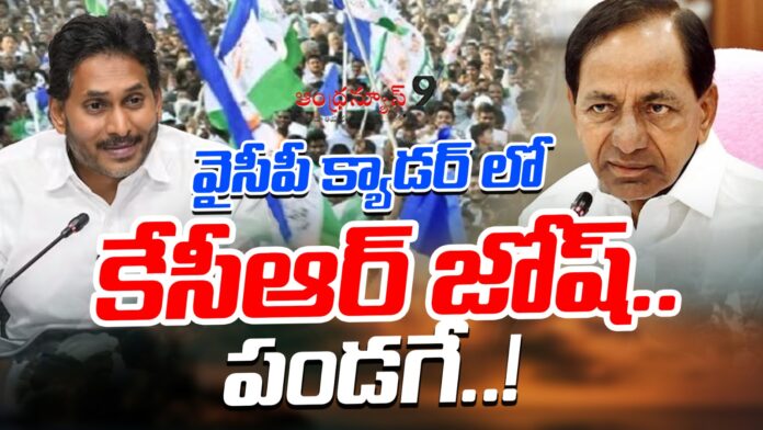 ysrcp-is-making-viral-videos-of-kcr-insulting-chandrababu-andhranews9