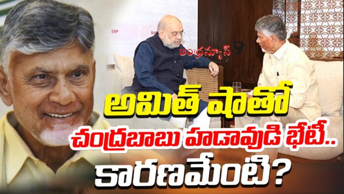Chandrababu Meets Amit Shah