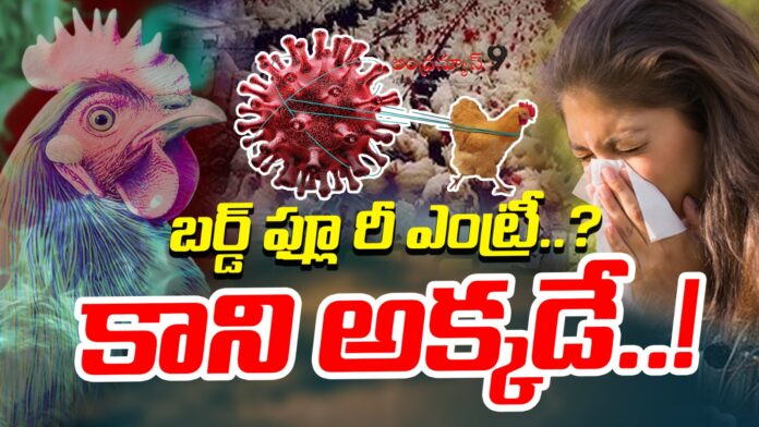 bird-flu-re-entry-in-tamilnadu-andhranews9