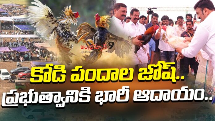 huge-income-for-the-government-with-sankranti-cock-fights-andhranews9