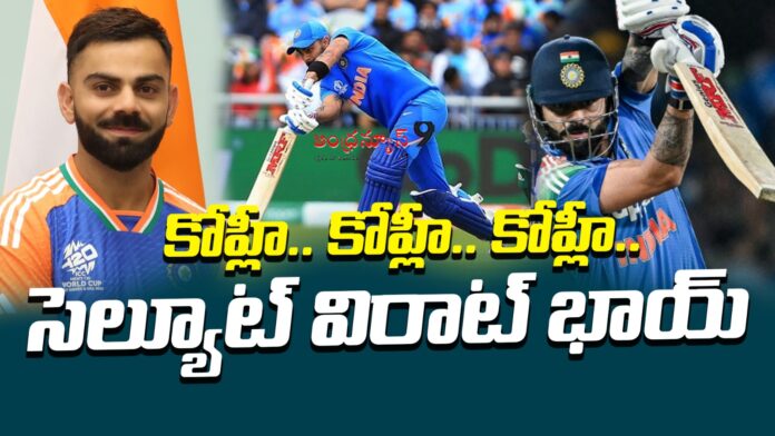 virat-kohli-stunning-play-in-new-zealand-series-andhranews9