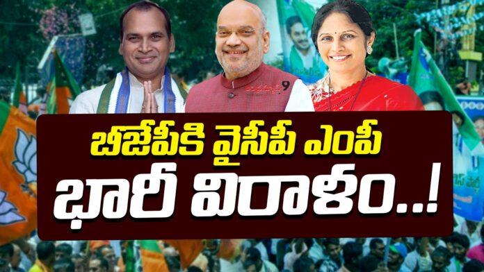 ysrcp-mps-huge-donation-to-bjp-andhranews9