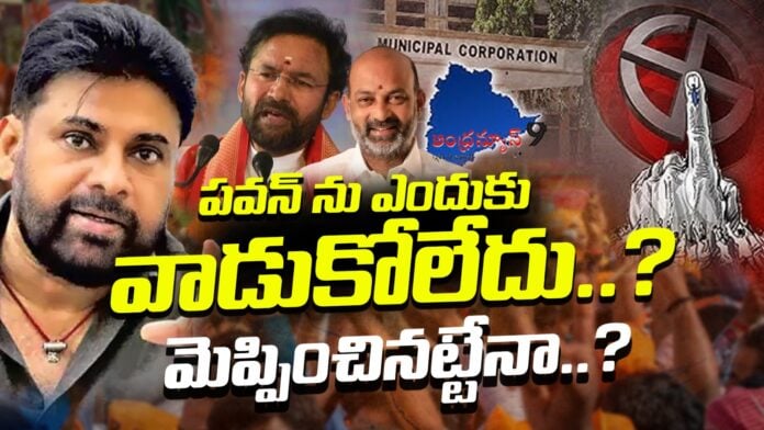 bjp-cadre-unhappy-with-not-using-pawan-support-andhranews9