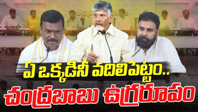 chandrababu-press-meet-on-tirupati-laddu-row-andhranews9