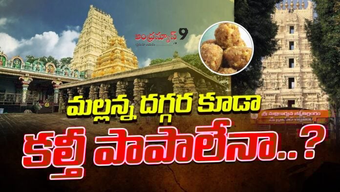 srisailam-laddu-ghee-scam-andhranews9