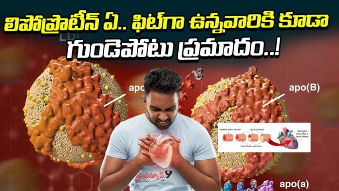 High lipoprotein(a) raises heart attack risk even in healthy people