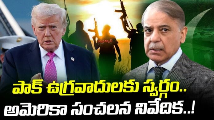 USA Sensational report on Pakistani terrorists