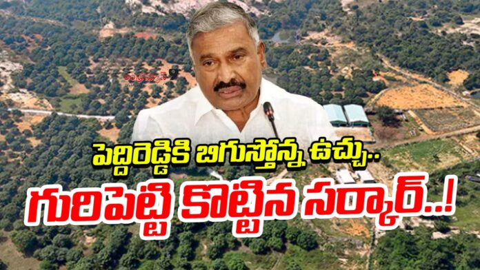 peddireddy-in-the-punganur-government-land-case-andhranews9