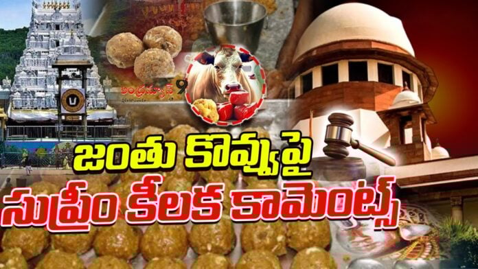 supreme-courts-key-comments-on-animal-fat-andhranews9