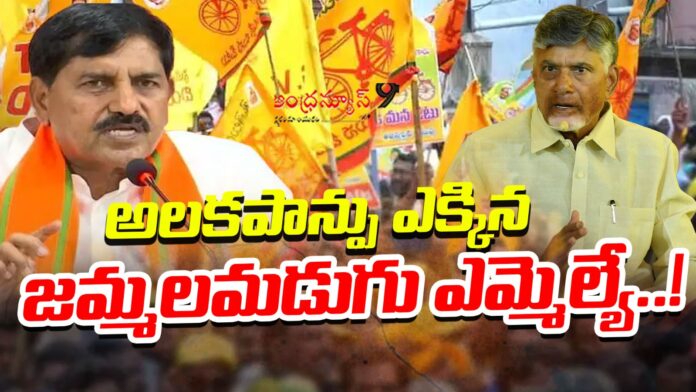 Jammalamadugu MLA Adinarayana Reddy comments troubles tdp