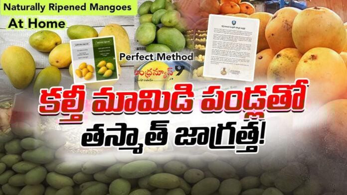 beware-of-adulterated-mangoes-in-market-andhranews9