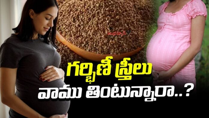 eating-ajwain-good-to-pregnant-women-andhranews9