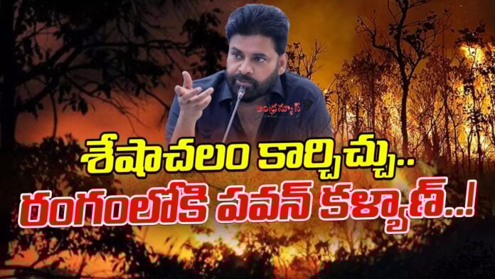 Fire Accident In Seshachalam Forest Tirupati