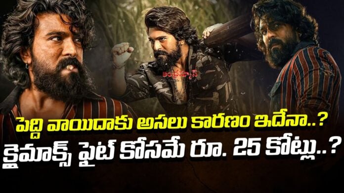 reason-behind-peddi-delay-andhranews9