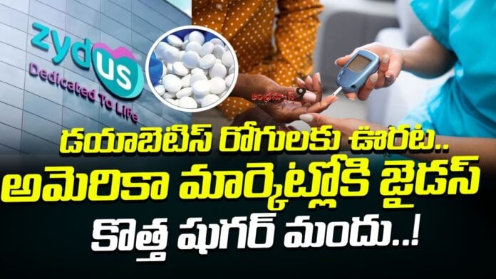 zydus-launches-new-diabetes-drug-in-us-market-andhranews9