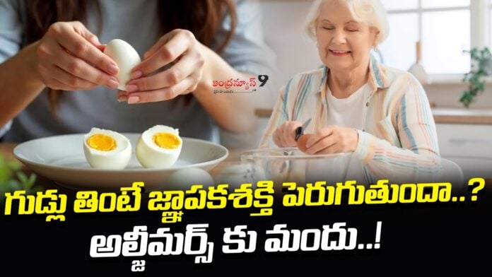 does-eating-eggs-improve-memory