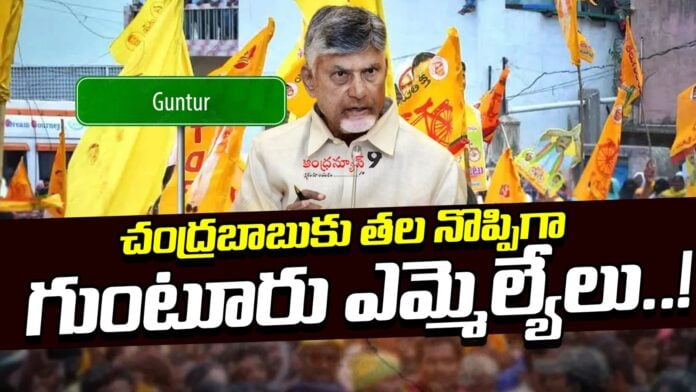 Guntur TDP Leaders