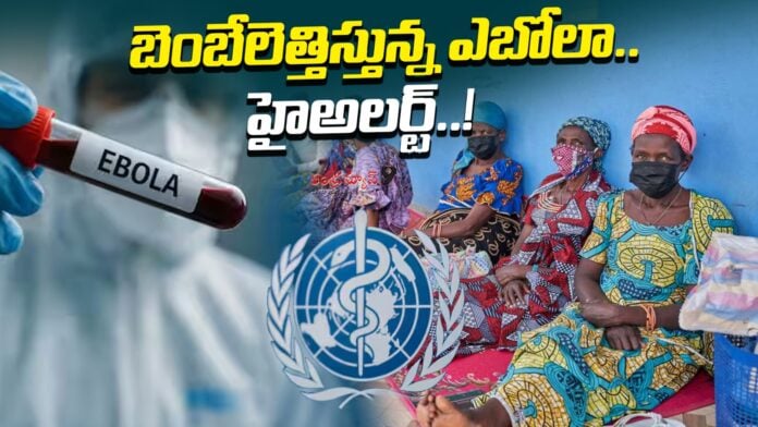 indian-government-alert-over-rise-of-ebola-virus-cases