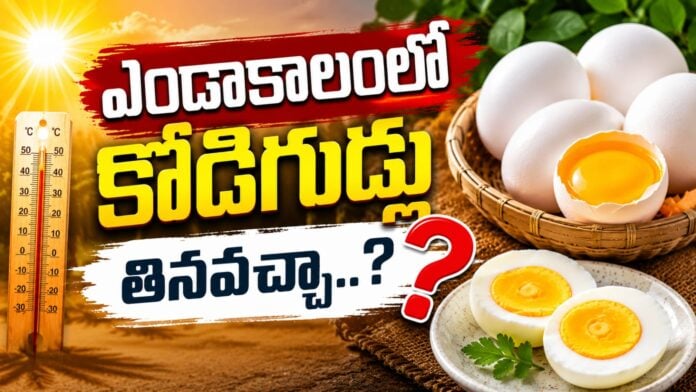 is-it-good-to-eat-eggs-in-summer