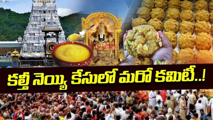 three-member-commission-on-ttd-laddu-scam-case