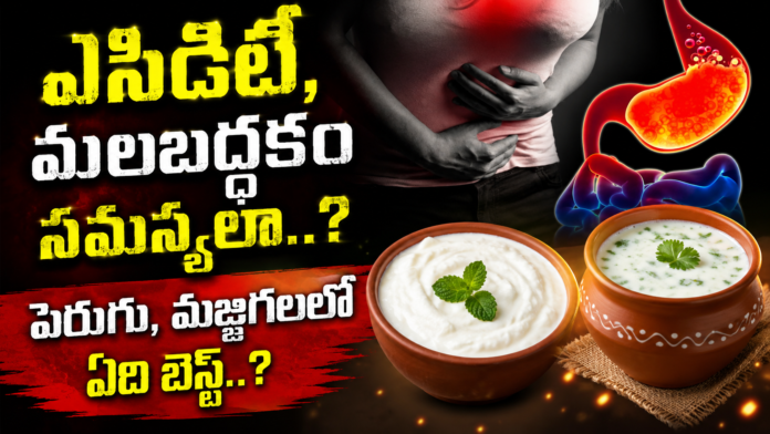 curd-or-buttermilk-which-one-is-best-for-acidity