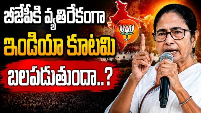 mamatha-banerjee-sensational-comments-on-bjp