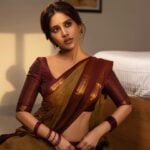 Nabha Natesh Slips Into Saree Magic Again