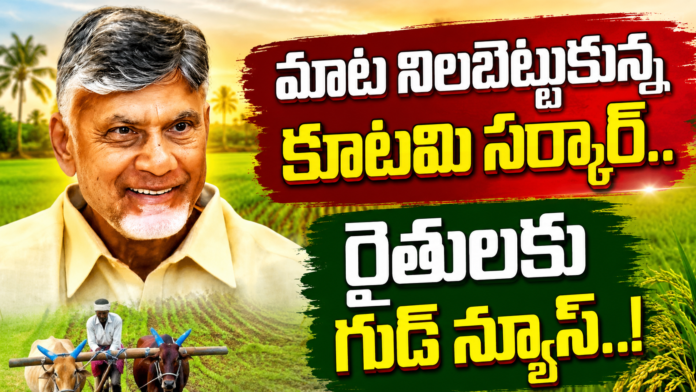 ap-govt-issed-guidelines-to-crop-insurance