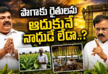 పొగాకు రైతులను ఆదుకునే నాధుడే లేడా..? Struggles of AP Tobacco Farmers