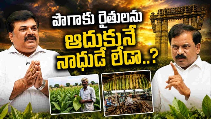 Struggles of AP Tobacco Farmers