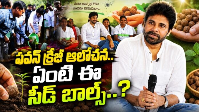 pawan kalyan seed balls project