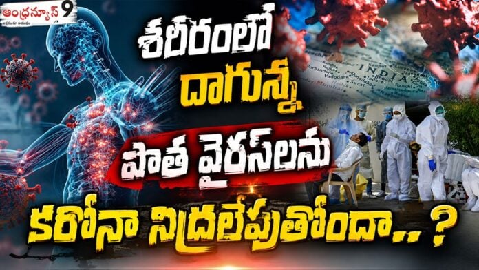 is-corona-waking-up-old-viruses-lying-in-the-body