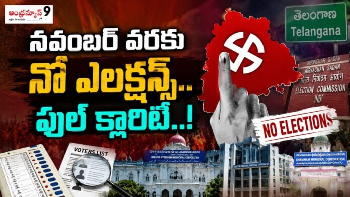 No Elections Till November