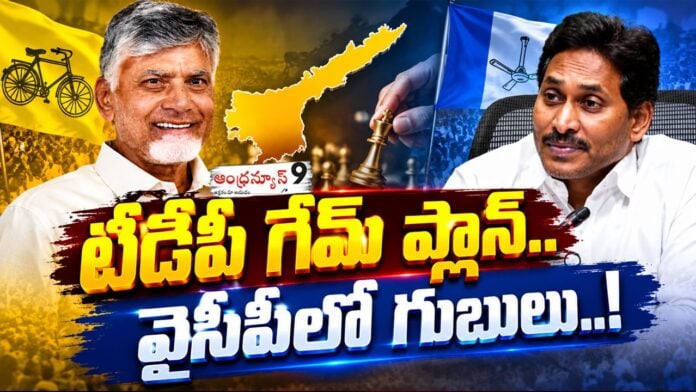 TDP Game Plan for 2029 Elections