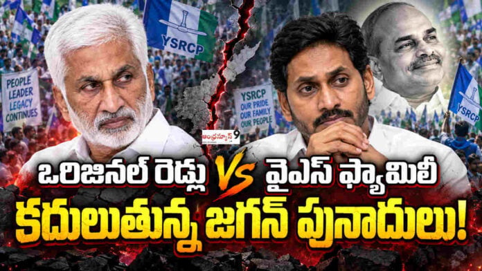 Vijayasai Reddy Comments