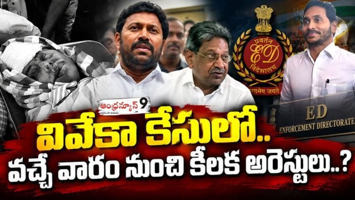 Key arrests in the Viveka case